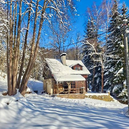 Srub V Bolkovskem Udoli Villa Rudník Eksteriør bilde