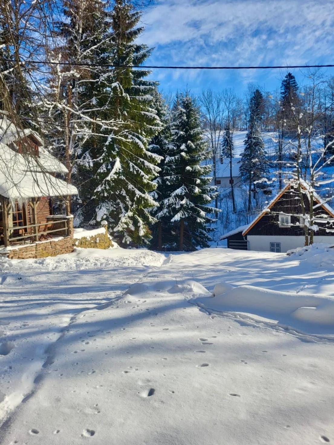 Srub V Bolkovskem Udoli Villa Rudník Eksteriør bilde